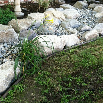 Dry Creek Riverbed and front yard softscape design with lights.
