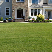 Landscaping Ideas
