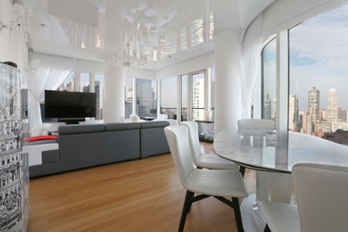 Living room - contemporary living room idea in New York