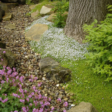 Brecksville Backyard