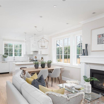 Living Room - Transitional