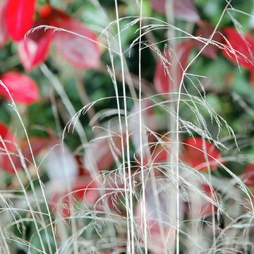 The Inclusive Garden, October 2013