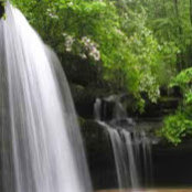 Deepti Patel's photo