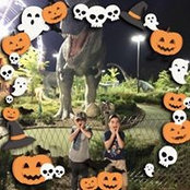 Amy Kittmer's photo