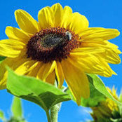 Lisa G's photo