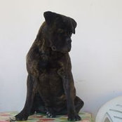Maria Karagewrgiou's photo