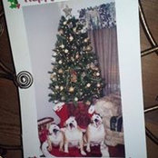 Meshell Martin Lunceford's photo