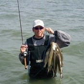 Peter Lauve's photo