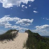 Jodi Strycharz's photo