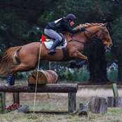Foto von Rosie Smith