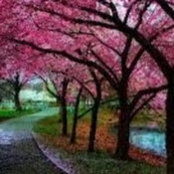 Bluma Rapoport's photo