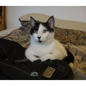 Marjie Hempstead's photo