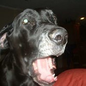 Lynda Schuman's photo