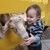 Nancy Sabbah's photo