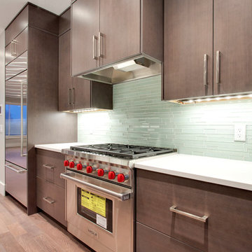 Sleek Executive Townhome with Rooftop Deck