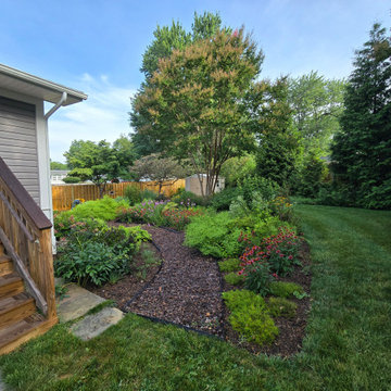 Established Native Plant Side Garden | Fairfax, VA