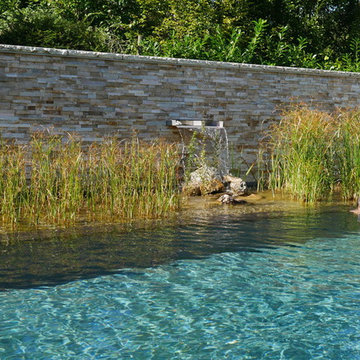 Naturpool