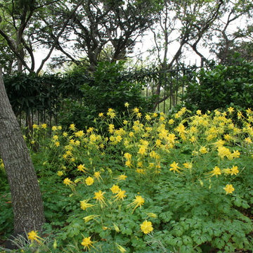 Traditional garden in Northwest Hills