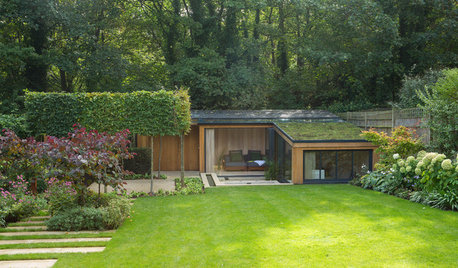 A Beginner’s Guide to Green Roofs
