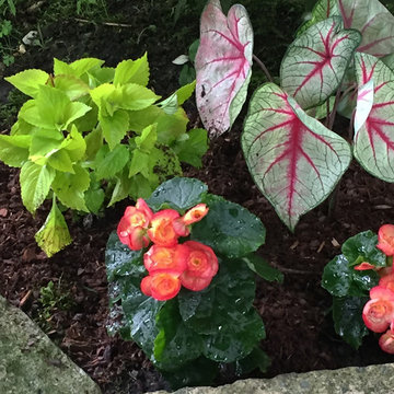 Back yard shrubbery | Artistry Landscaping Design