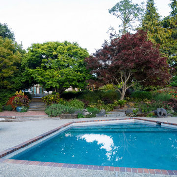 Residential Pool Surrounded by Established Garden