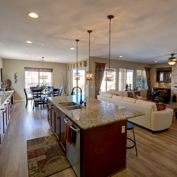 Villa Helena track home upgrades/fireplace,dining room/wine room,baths,kitchen