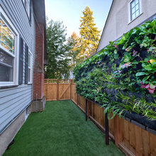 Green Roofs