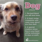 Amy Urquidez's photo