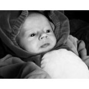 Dwight Ley's photo