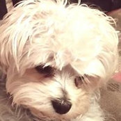 Barbara Cantero's photo