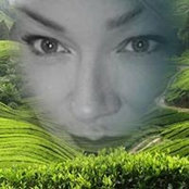 Foto von Nicolette Sama