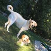 Maryann Arcaro's photo