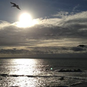Vicki F's photo