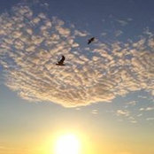 Foto von Anne Budurov