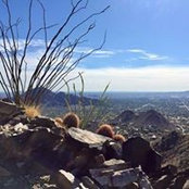 Jillian Holland's photo