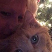 Donna Chapman's photo