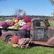 Sandra McNeal's photo