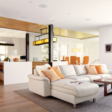 Contemporary Living Room