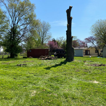 Tree Moving