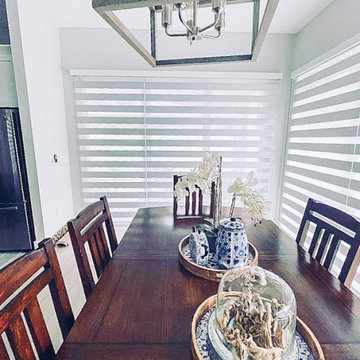 Zebra Blinds