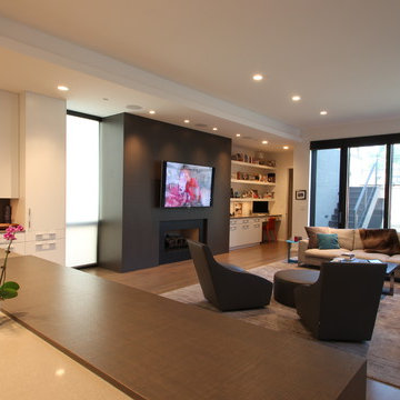Chicago Bucktown Modern Masterpiece