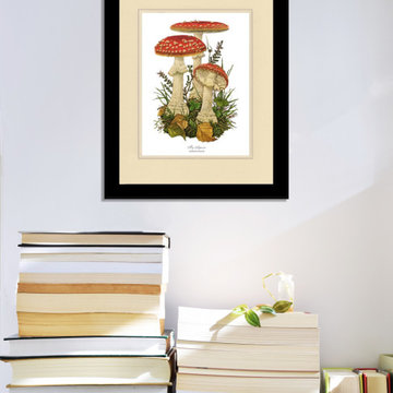 Mushroom Art Prints