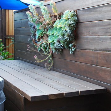 Contemporary backyard oasis