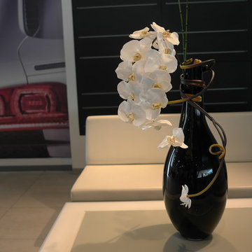 Emilio Robba Illusion Flowers - Phalaenopsis Orchid