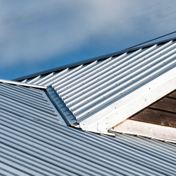 DefenderRoof - Silver
