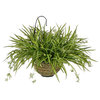 Artificial Spider Plant in Water Hyacinth Hanging Basket, Natural Water Hyacinth