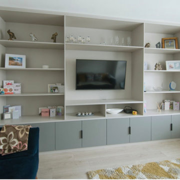 Entertainment Systems & Media Centers