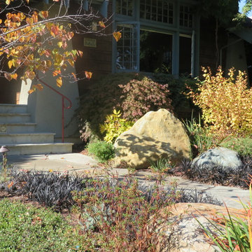 Landscape/Hardscape, Albany, CA