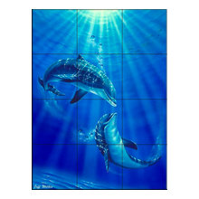 Dolphin products