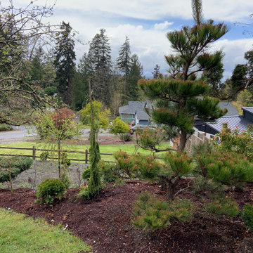 Front Yard Re-Do